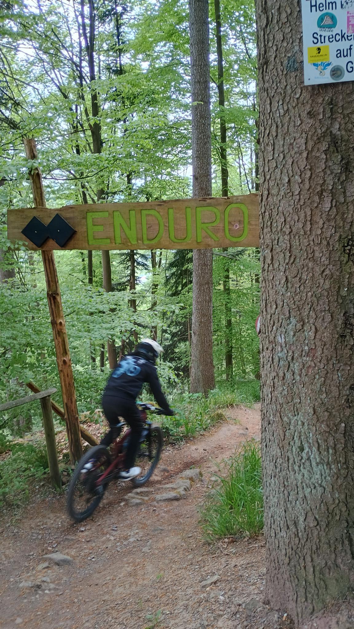 BadWildbad EDR Trail